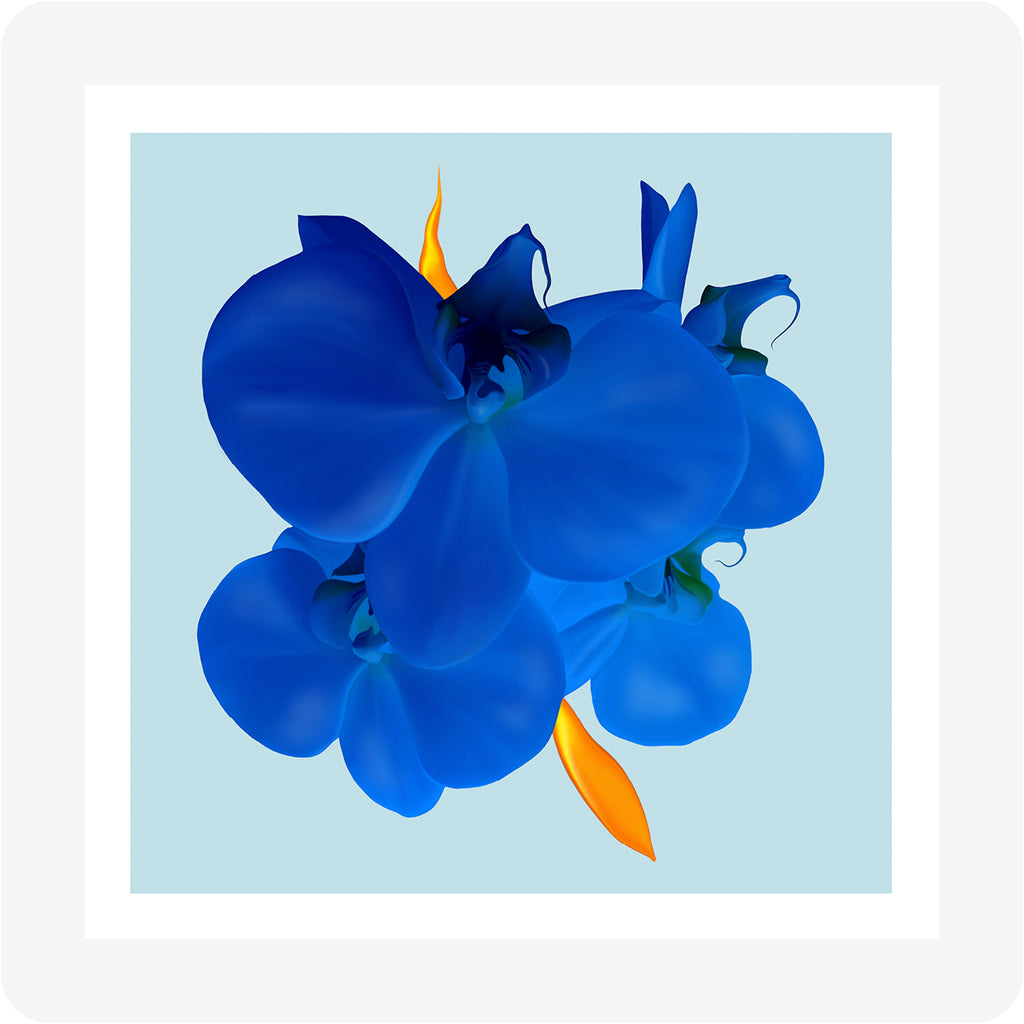Blue