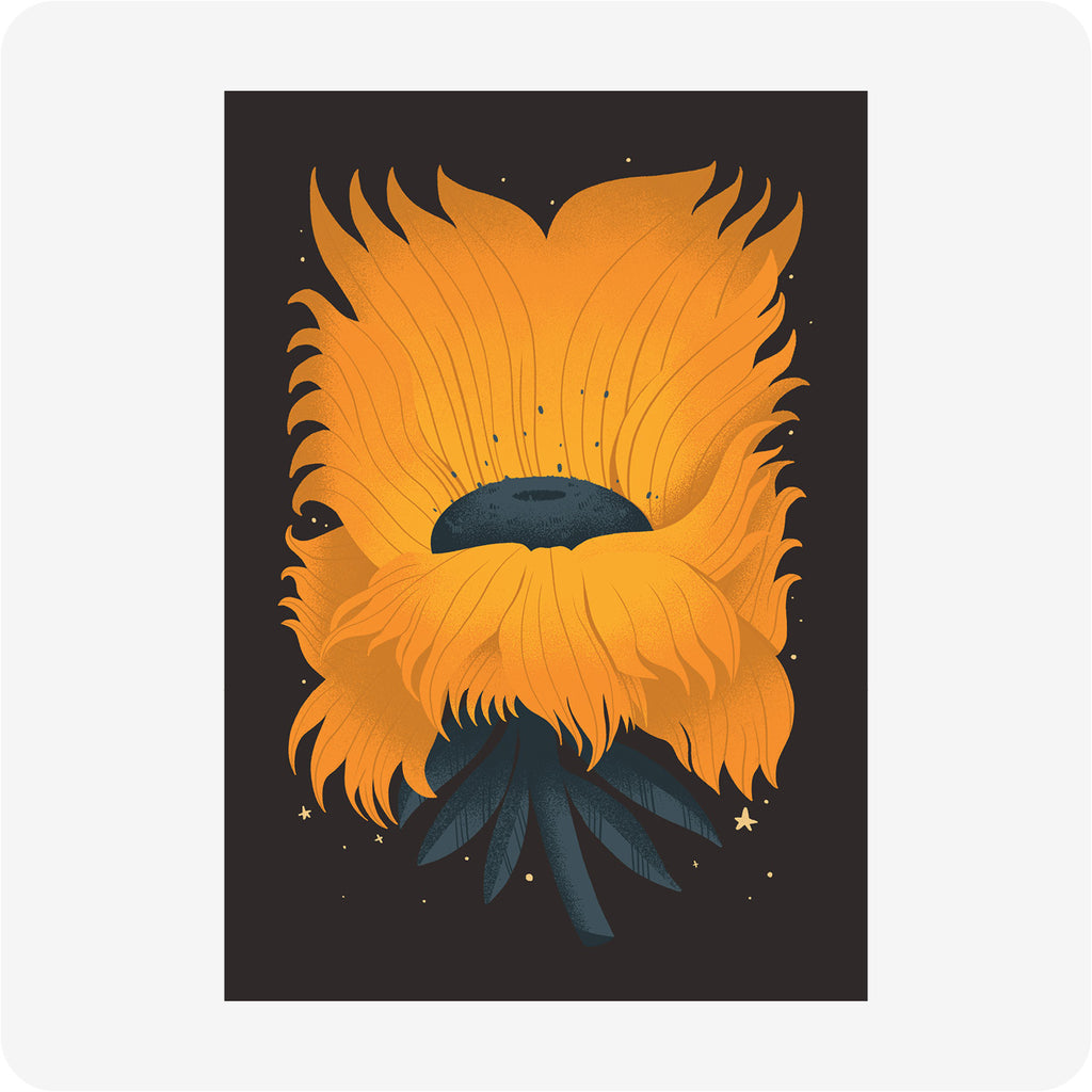 Sunfolwer